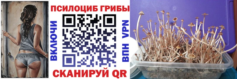 Псилоцибиновые грибы мицелий  Купить  Вичуга 